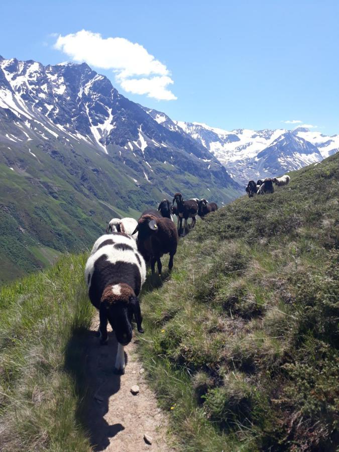Berg-juwel *